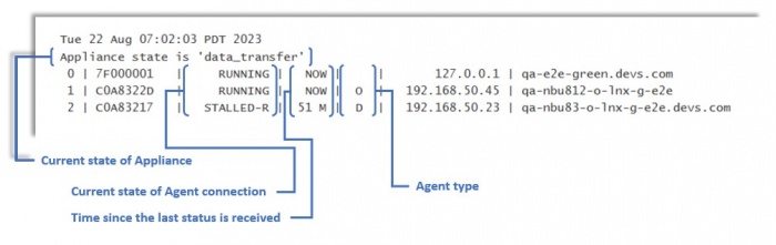 Reports Summary envdetails.jpg