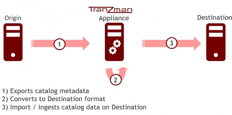 Migration flow-same vendor.jpg